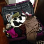 How to Deal with Travel Buddies Who Pack Too Much