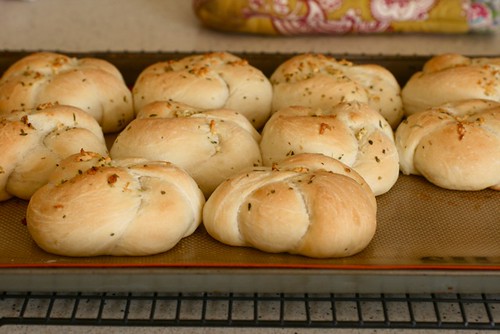 Garlic Knots to Garlic Rolls: A Tale of Buttery, Cheesy Goodness