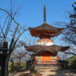 Miyajima Island: A Journey Through Japan’s Enchanted Islet