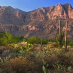 Discovering the Enigmatic Superstition Mountains: A Journey into Arizona’s Wilderness