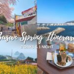 Busan’s Springtime Serenade: A 2-Day Journey of Healing and Discovery