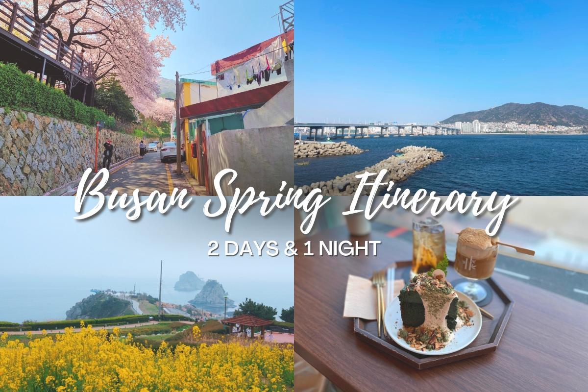 Busan’s Springtime Serenade: A 2-Day Journey of Healing and Discovery