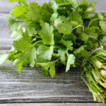 Coriander Conundrum: Unraveling the Mystery of Cilantro’s Polarizing Palate