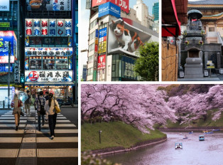 Embracing Tokyo Solo: A First-Timer’s Guide to Navigating the City with Ease