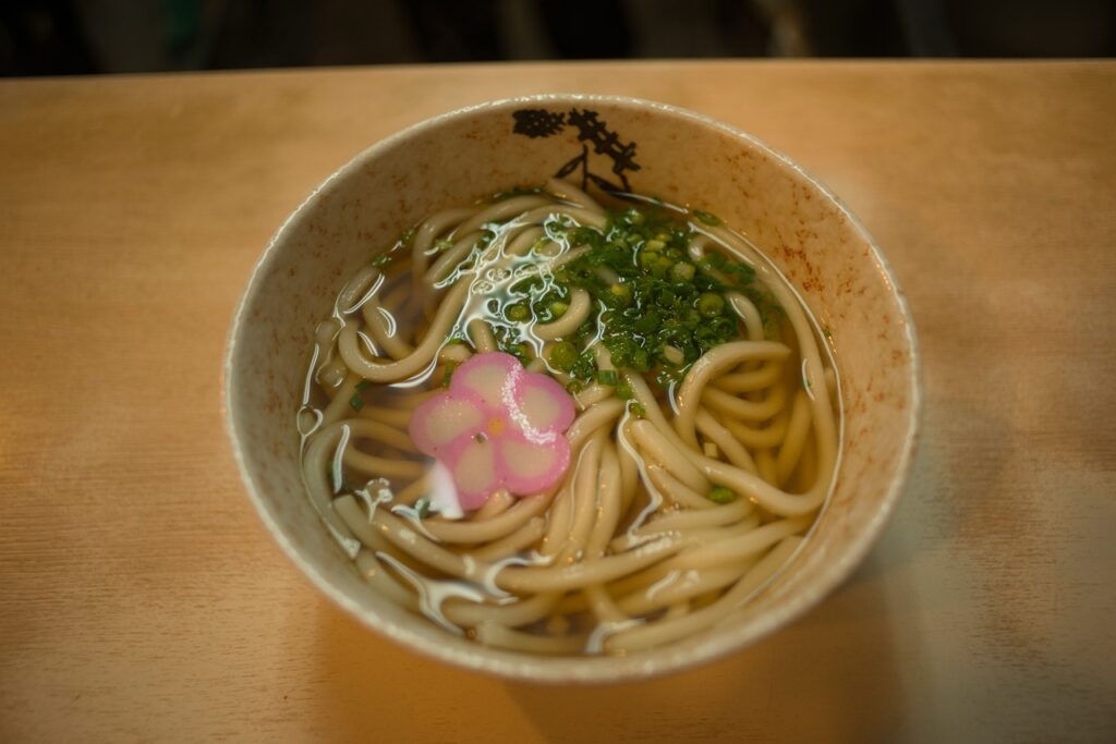 udon noodles, meal, kansai