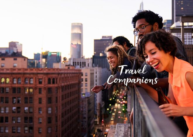 Travel Tribulations: The Art of Choosing Companions for a Dream Vacation