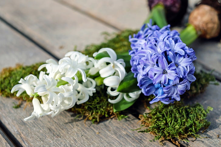 Garden Bouquets: The Secret to Long-Lasting, Fragrant Floral Displays