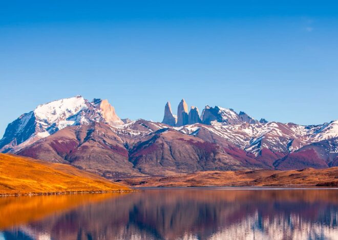 Patagonia Unveiled: A Journey Through the Wilds of South America