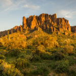 A Verdant Oasis Amidst the Sands: The Lush Greenery of Superstition Mountains