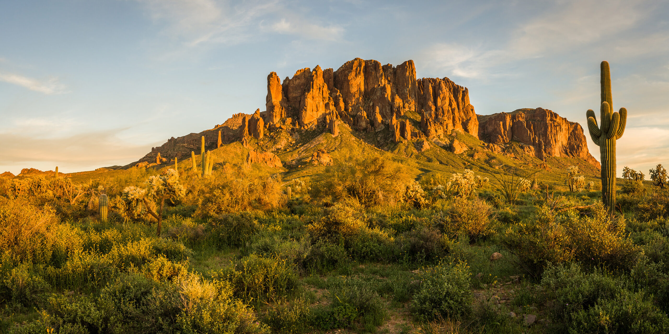 A Verdant Oasis Amidst the Sands: The Lush Greenery of Superstition Mountains