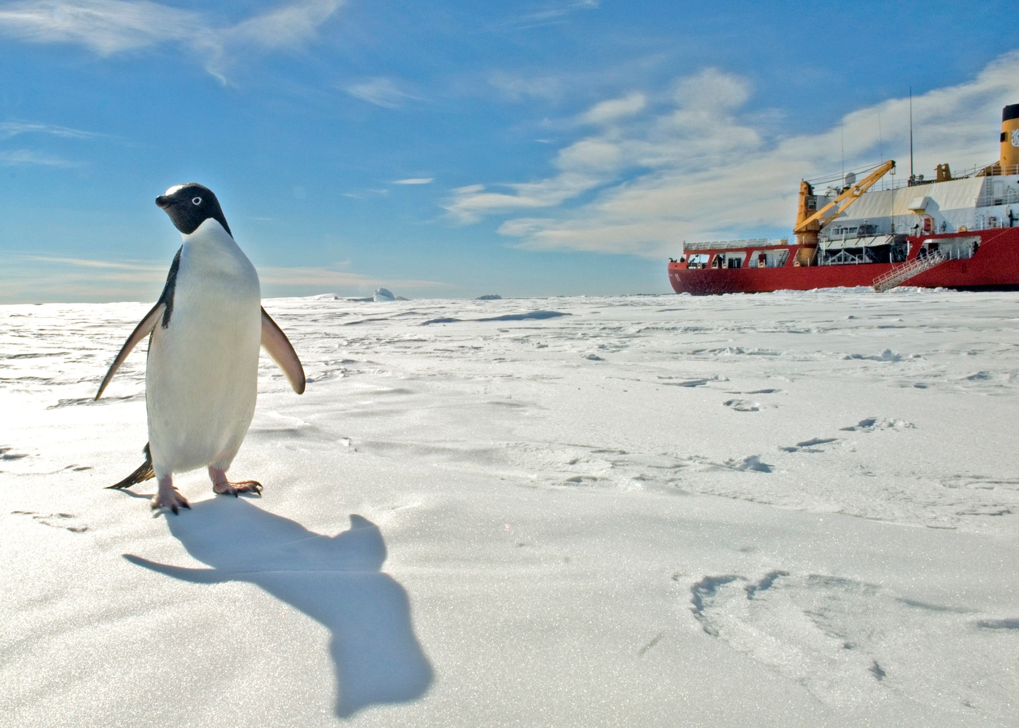 visit antarctica breaking bank