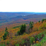 Autumn’s Palette: A Journey to Mount Greylock’s Fall Foliage Haven