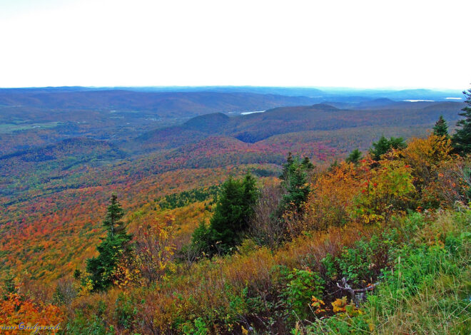 Autumn’s Palette: A Journey to Mount Greylock’s Fall Foliage Haven