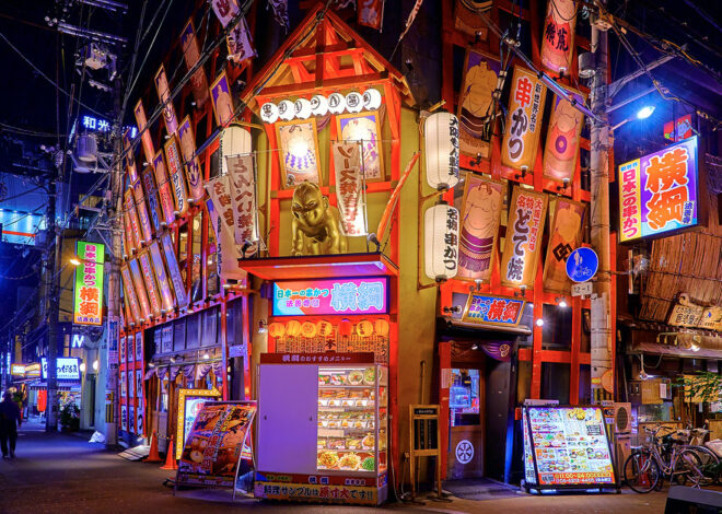 Navigating the Charms and Challenges of Japan with a Less-Than-Stellar Guide