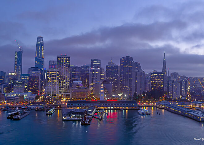 San Francisco’s Charms: A First-Timer’s Guide to the Golden City