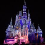 Disney World 2024: The Ultimate Packing Guide for a Magical Vacation