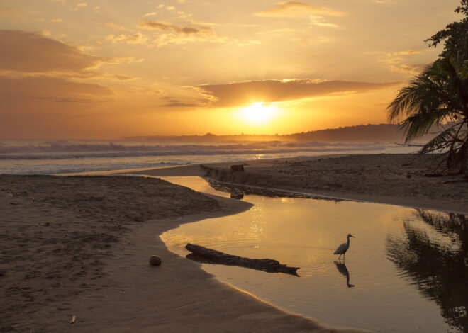 Embracing the Beauty of Costa Rica: A Journey from Sunrise to Sunset