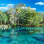 Why Florida’s Natural Springs are the Ultimate Travel Destination