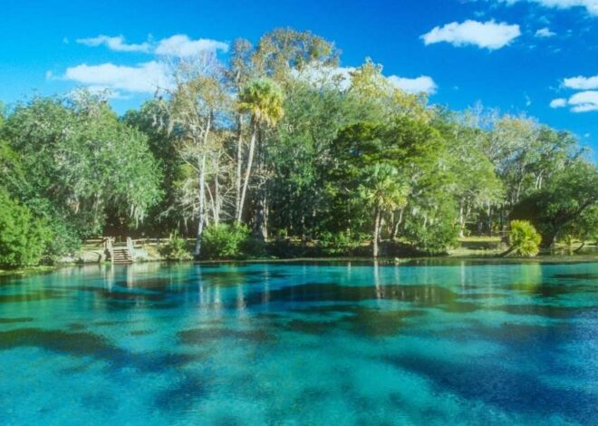 Why Florida’s Natural Springs are the Ultimate Travel Destination