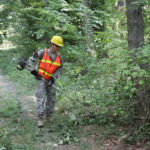 Unraveling the Secrets Behind How Farmers Abroad Clear Undergrowth