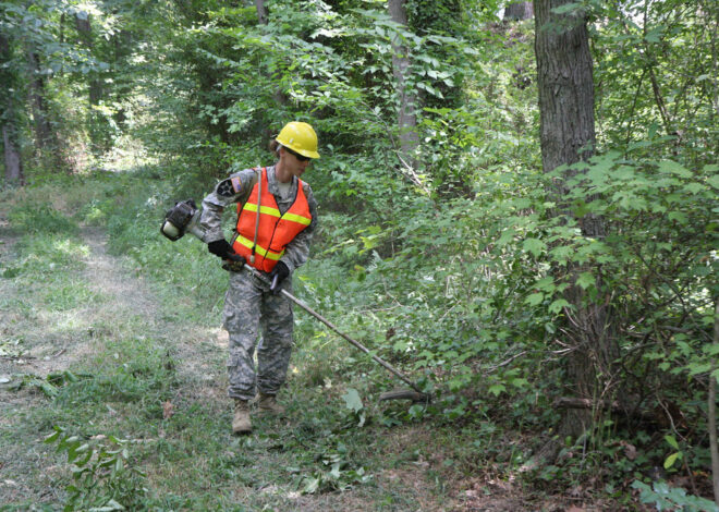 Unraveling the Secrets Behind How Farmers Abroad Clear Undergrowth