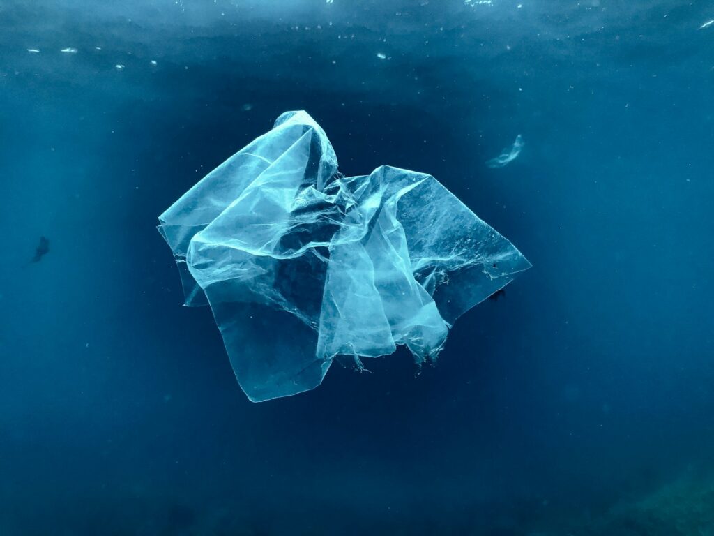 A plastic bag floating in the water