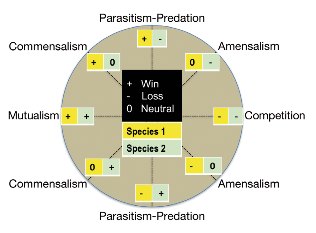 ecological implications ecological interactions