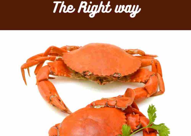 The Fascinating Dietary Preferences of King Crabs: Why Legs are the Favorite