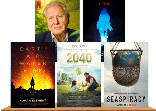 World Environment Day: 17 Must-Watch Movies Showcasing Climate in All Its Glory