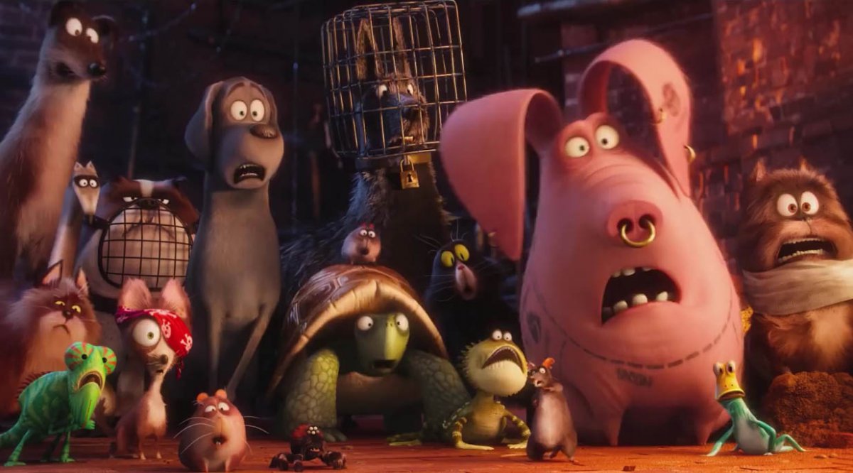 9. The Secret Life of Pets 2016