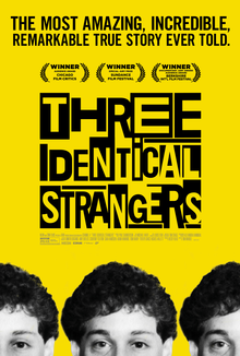 41. Three Identical Strangers 2018